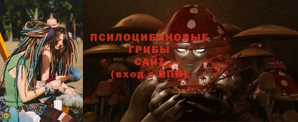 а пвп мука Надым