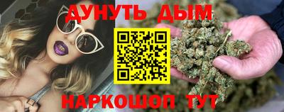 гидра Рязань
