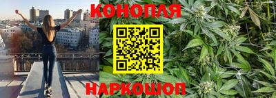 гидра Рязань