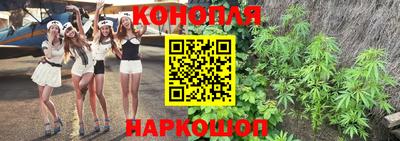 гидра Рязань