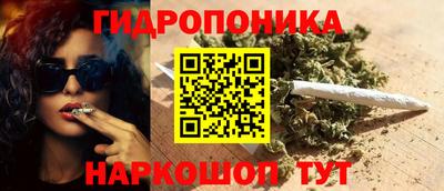 гидра Рязань