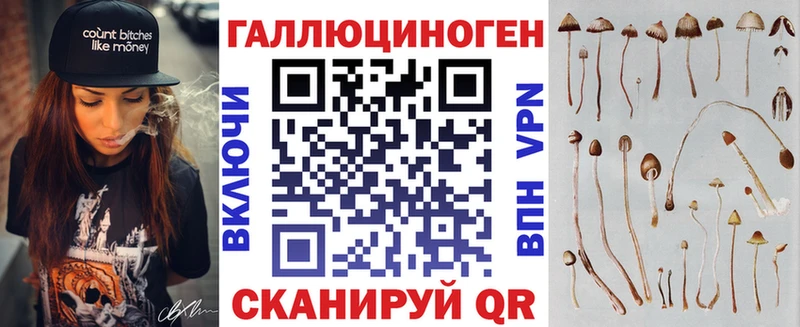 Галлюциногенные грибы прущие грибы  закладки  Хасавюрт 