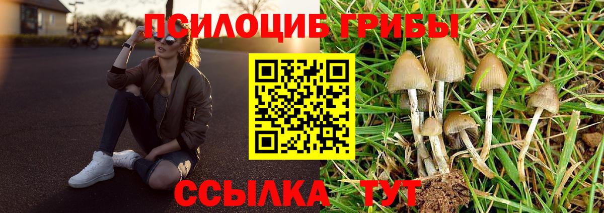 Псилоцибиновые грибы мицелий Хасавюрт